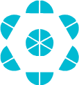 C-NDA Protocol™